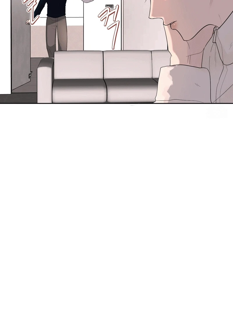 88495402 800 1060 31540